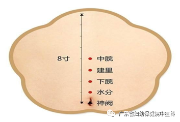 Warming Yang and Nourishing Kidney with Moxa Culture