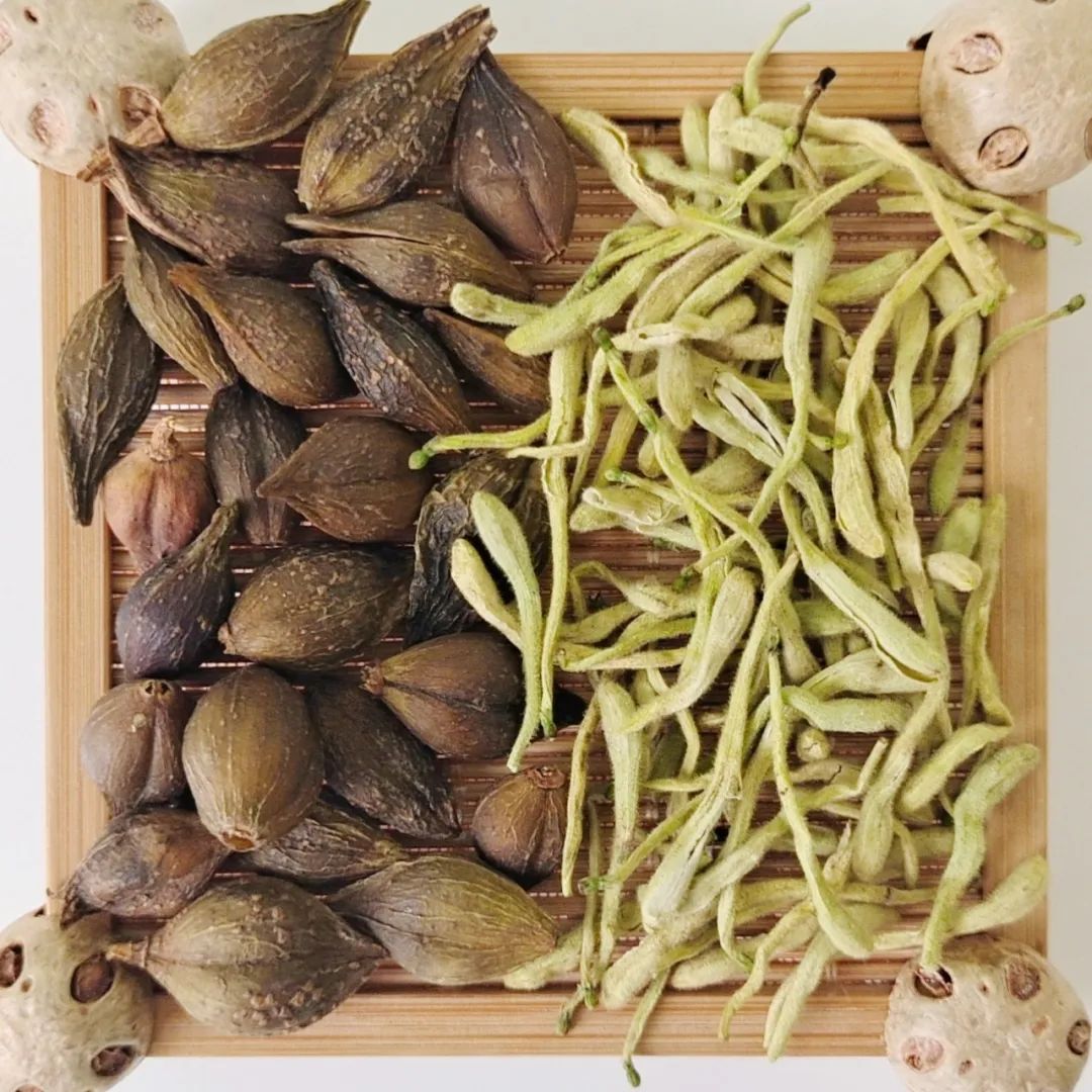 Essential Combinations of Lian Qiao (Forsythia) for Dispelling Heat and Reducing Swelling