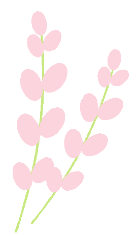 Essential Herb for Nourishing Yin and Strengthening the Kidneys