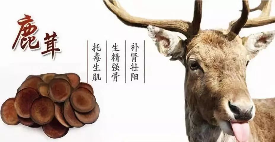 Ginseng Pairings to Warm Through the Cold Winter