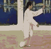 Comprehensive Guide to Tai Chi Movements: Exercise at Home!