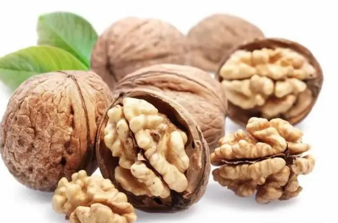 Comprehensive Health Tips: Nine Key Points for Daily Wellness
