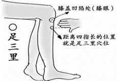 Understanding Qi Deficiency Constitution in Traditional Chinese Medicine
