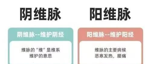 The Eight Extraordinary Meridians: Yin Wei and Yang Wei, Temporal and Spatial Connectors of the Human Meridians