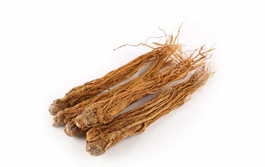 The Supreme Blood Nourishing Herb: A Universal Remedy for All Blood Disorders