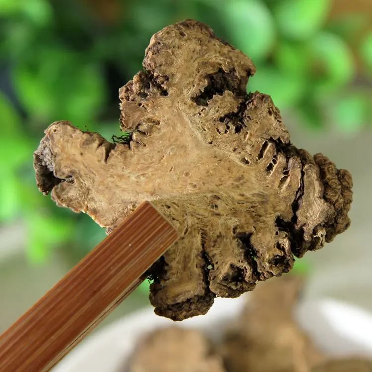 Chuanxiong (Ligusticum chuanxiong): A Blood and Qi Herb for Dispelling Wind-Damp and Relieving Headaches