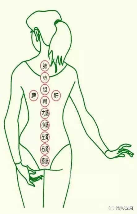 Cupping Techniques and Their Diagnostic Significance