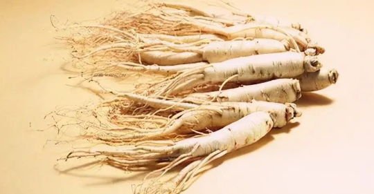 The First Formula for Warming Yang: Four Herbs to Warm the Heart, Lungs, Spleen, Liver, and Kidneys, Sweeping Away Cold from the Five Organs