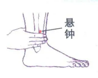 47 Unique Acupuncture Points Worth Seeing! (Collector's Edition)