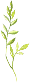 A Discussion on Coix Seed (Yi Yi Ren)