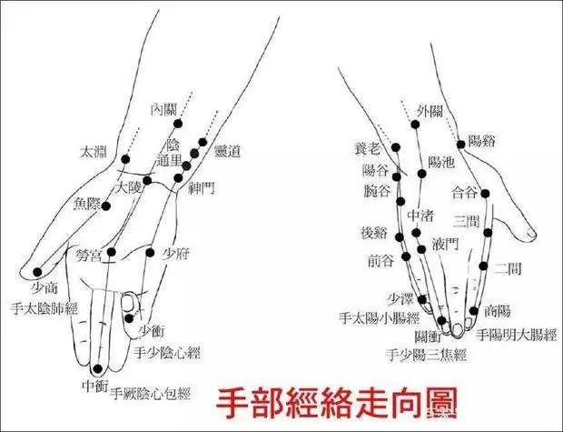 409 Common Acupuncture Points: One Point for One Disease, Learn Acupressure in 5 Minutes