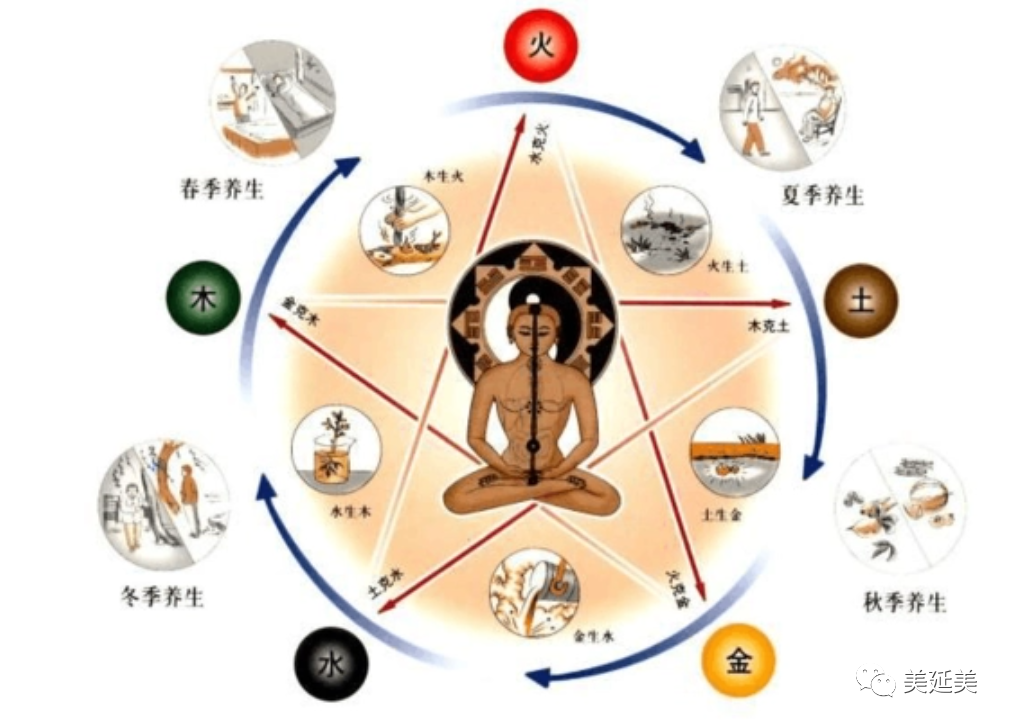 The Art of Medicinal Cuisine in Traditional Chinese Medicine