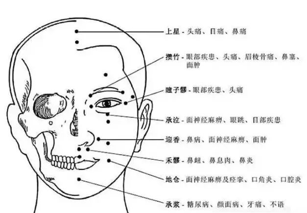 The Most Comprehensive Atlas of Acupuncture Points and Their Effects!