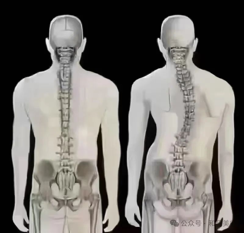 The Concept of Yin-Yang Balance in Traditional Chinese Medicine