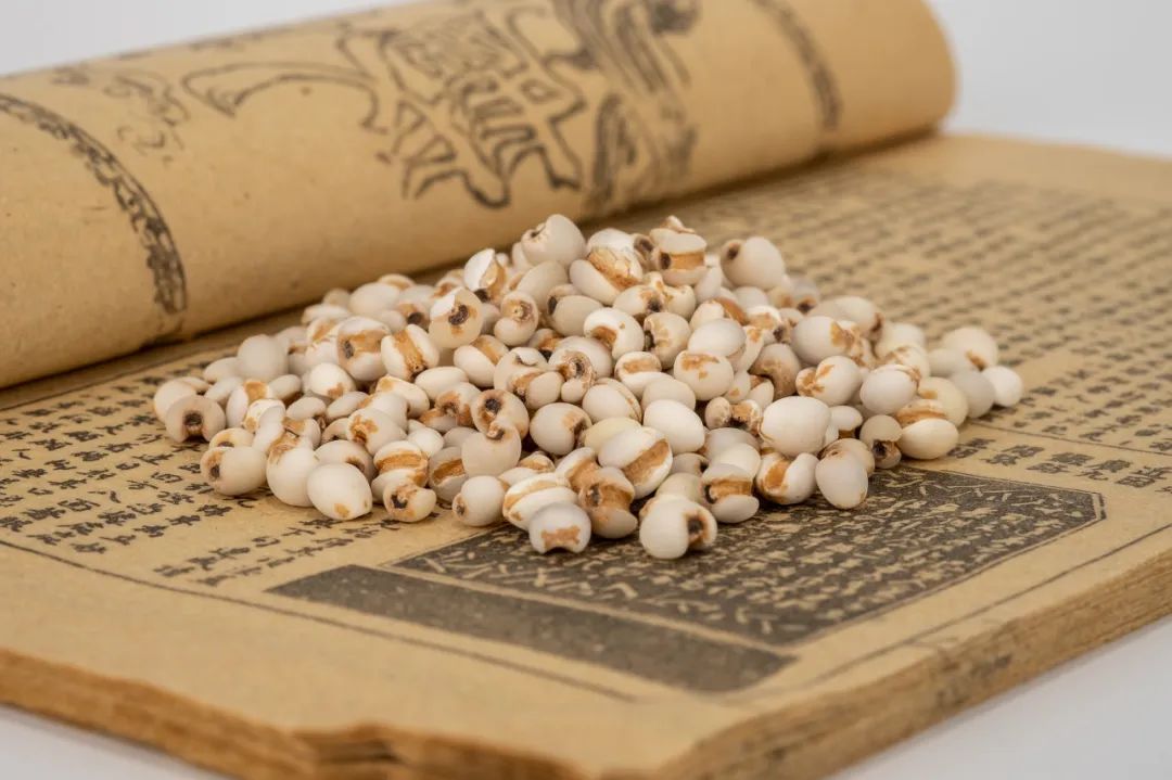 The World's Best Rice: Coix Seed (Yi Yi Ren)