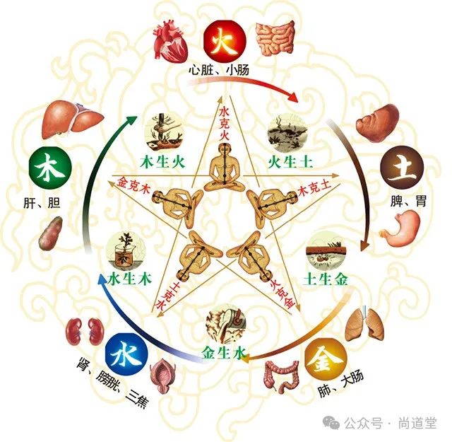 The Path to Wellness: Harmony Between the Five Organs and the Soul