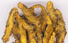 The Efficacy and Functions of Huang Lian (Coptis Rhizoma)