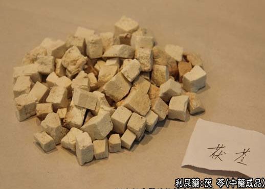 Popularizing Chinese Medicine: Poria