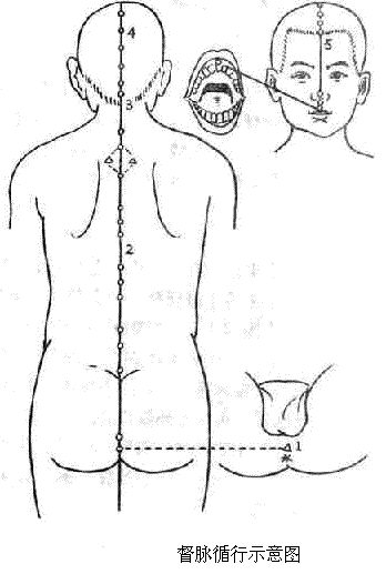 The Concept and Physiological Characteristics of the Eight Extraordinary Meridians