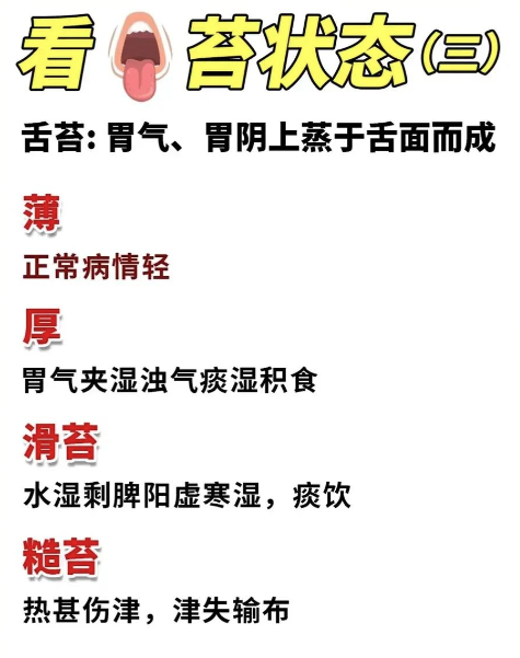 Analyzing Tongue Diagnosis: A Simple Approach to Understanding TCM