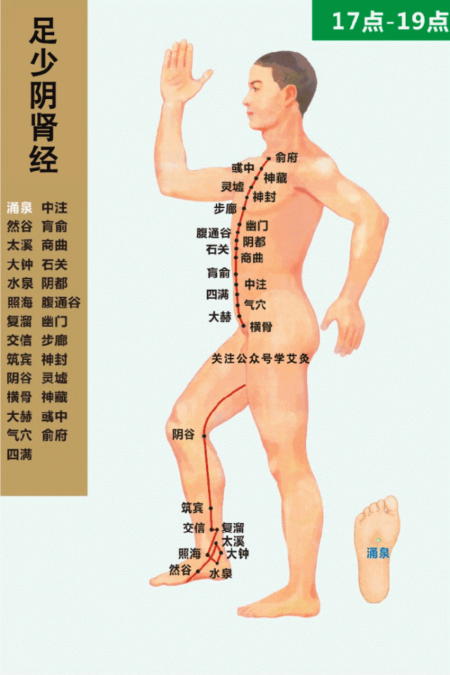 Dynamic Circulation Chart of the Twelve Meridians: Invaluable Insights!