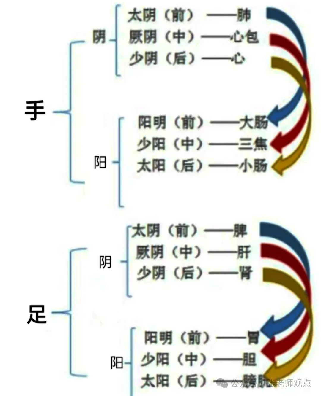 Differentiation of Eight Principles and Six Meridians (Liu Duzhou)