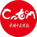 Strengthening the Body's Vital Energy: Key to TCM Preventive Health