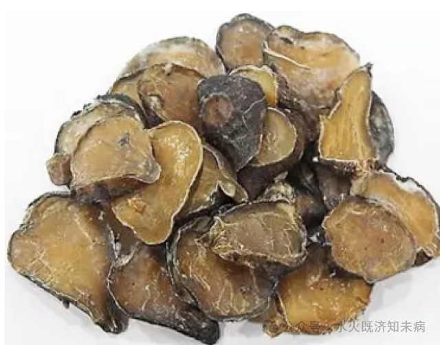 How to Properly Use Fuzi (Aconite) Without Harming Vital Essence