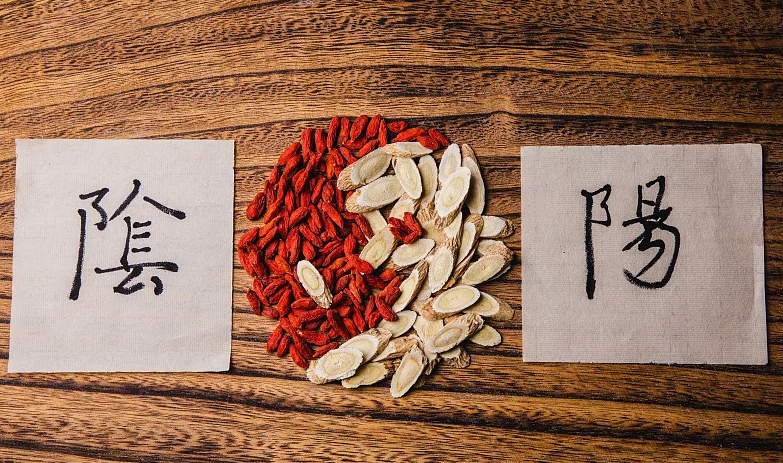 Essential Knowledge of Dietary Therapy in Traditional Chinese Medicine