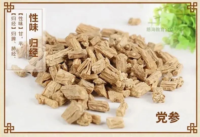 Dang Shen (Codonopsis pilosula): A Comprehensive Overview of Its Properties and Cultivation