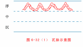 The Twenty-Eight Pulses and All Pulse Patterns in Traditional Chinese Medicine (Animated Illustrations)