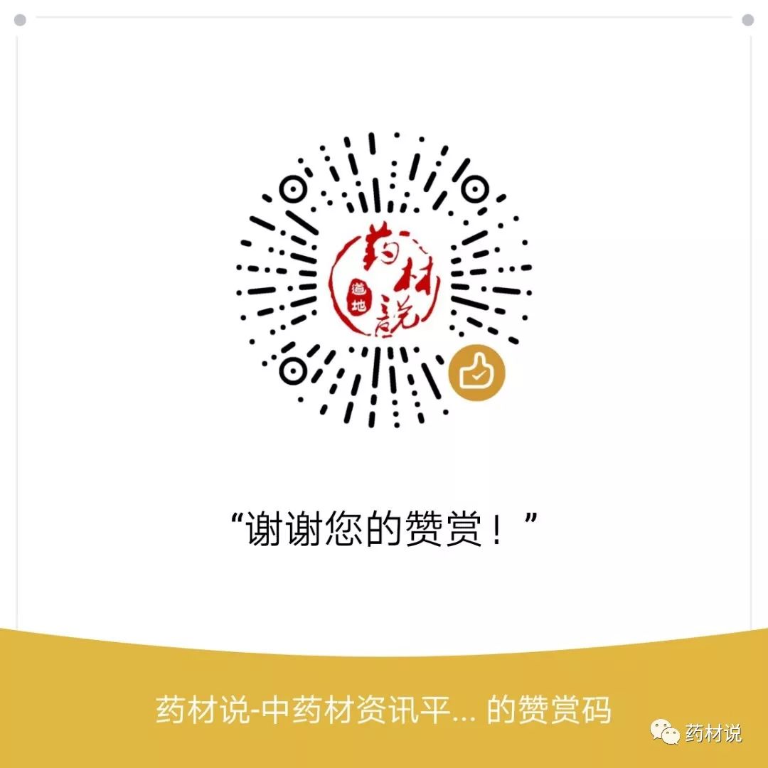 High-Yield Cultivation Techniques for Atractylodes (Cang Zhu)