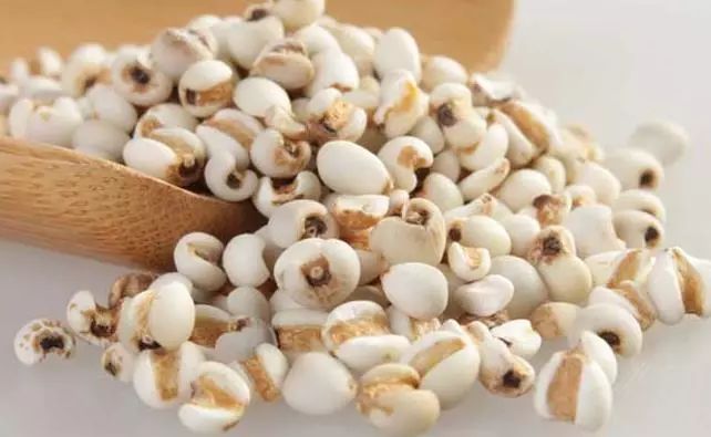 Understanding Coix Seed (Yi Yi Ren) in Traditional Chinese Medicine