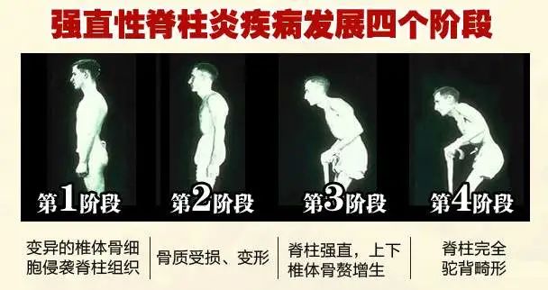 Clinical Palpation Diagnosis and Applications | Qingmu Traditional Chinese Medicine