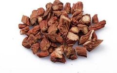 Dan Shen: A Herb for Activating Blood Circulation and Alleviating Pain