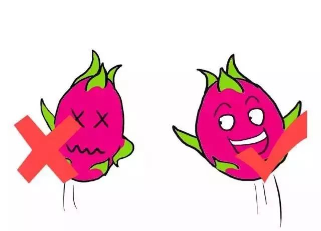 Fruits Classified by Cold and Heat: Eating According to Body Constitution