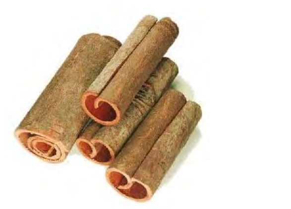 Traditional Chinese Medicine Herb: Cinnamon