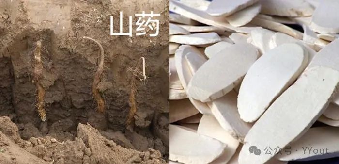9 Effective Folk Remedies for Treating Anemia in Traditional Chinese Medicine