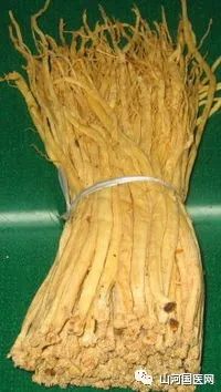 Codonopsis (Dang Shen): A Comprehensive Overview
