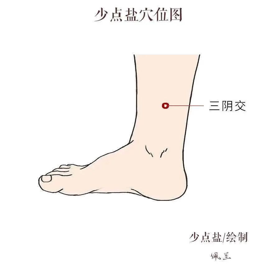 Spring Liver Nourishment: Gua Sha Techniques for Liver Health