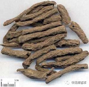 A Discussion on Warming Yang Herbs and Yang Supplementing Herbs