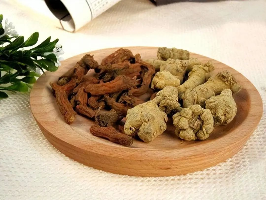The "Golden Partner" of Danshen: Regular Consumption May Promote Blood Circulation and Dissolve Thrombus