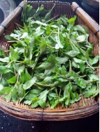 Health Preservation through Seasonal Eating: Dietary Therapy for Different Groups during the Summer Solstice