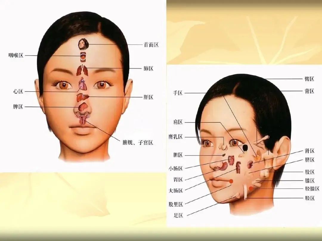 Comprehensive Guide to Observation Diagnosis in TCM: Understanding Shen, Head and Face, Lips, and Tongue Coating