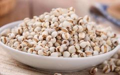 Understanding Coix Seed: A Minute Overview of Its Benefits in Traditional Chinese Medicine