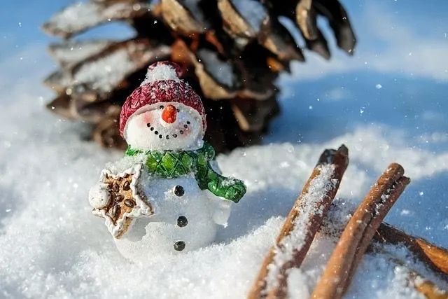 Lesser Cold: Warming Yang and Nourishing the Kidneys