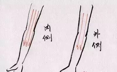 Specific Gua Sha Techniques for the Whole Body: Please Remember!