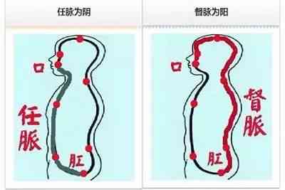 The Huangdi Neijing: Meridians, Determining Life and Death, Addressing Hundreds of Diseases