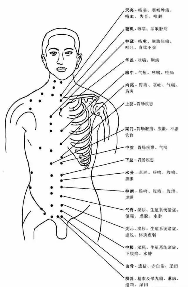 The Most Comprehensive Atlas of Acupuncture Points and Their Effects!