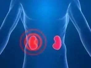 Holographic Diagnosis in Traditional Chinese Medicine: Observation, Pulse Diagnosis, and Mapping